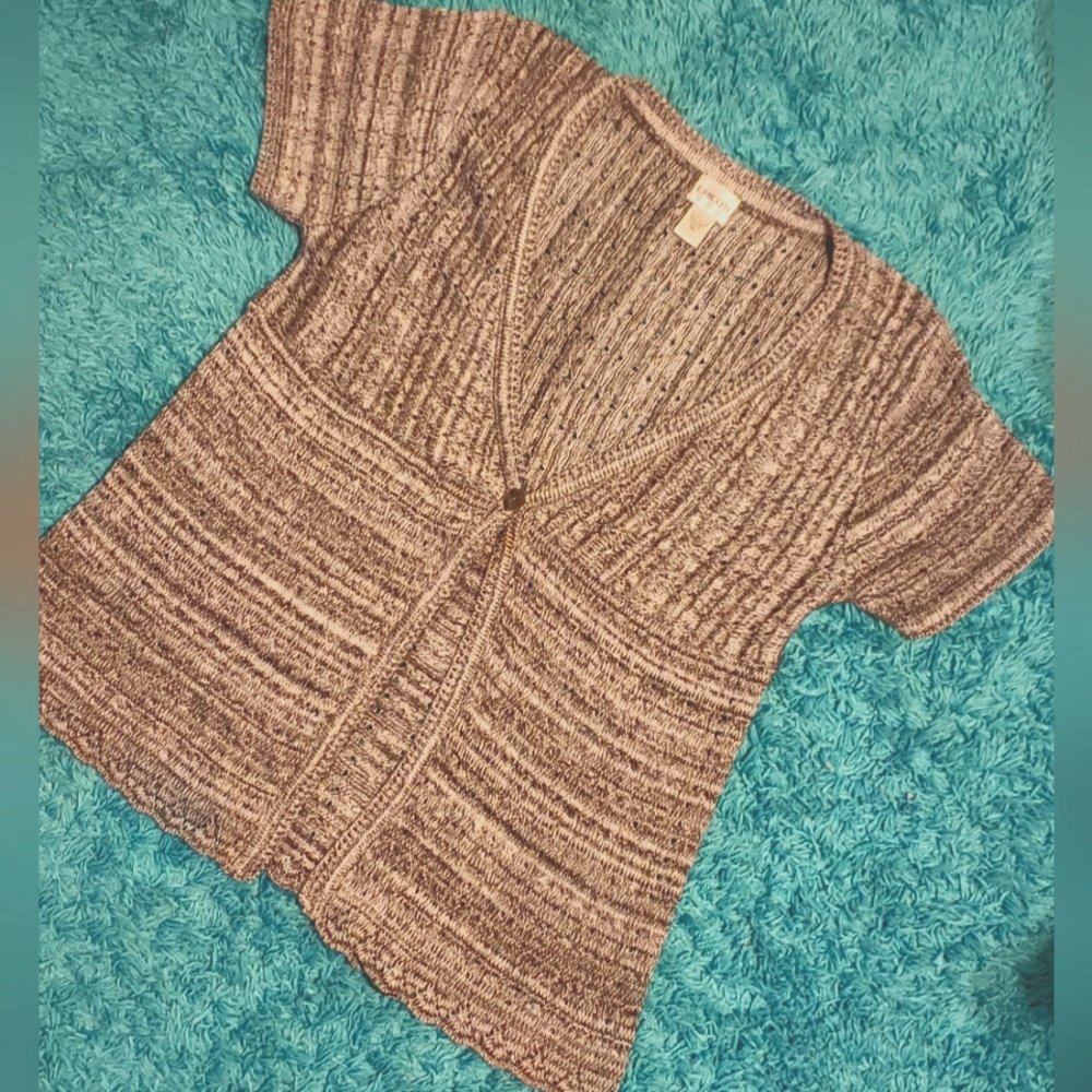 Chico's sweater vest